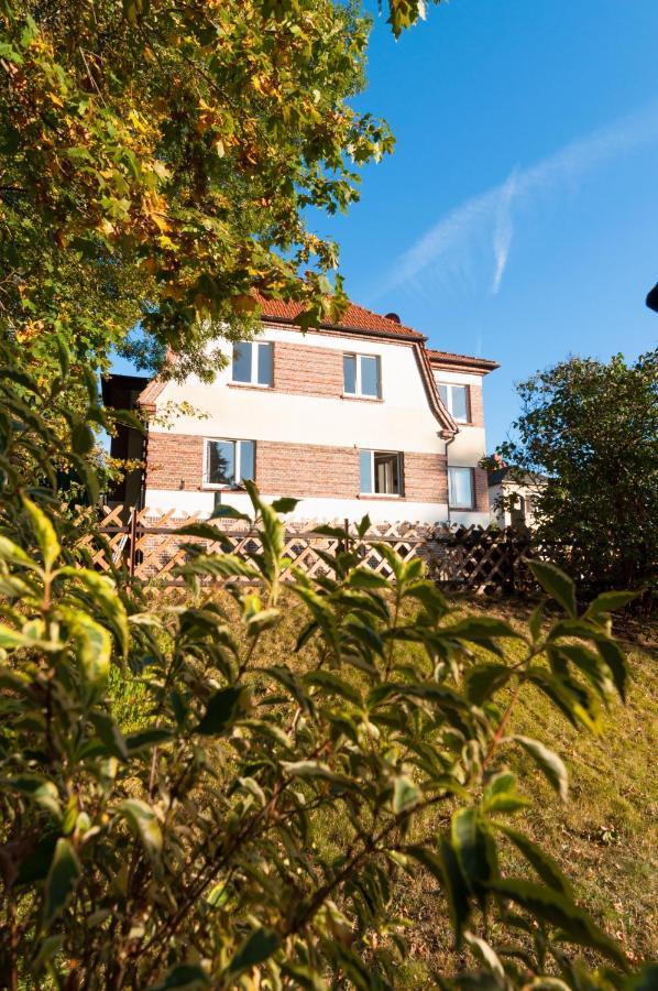Ferienhaus Natur Pur Thale Exterior photo