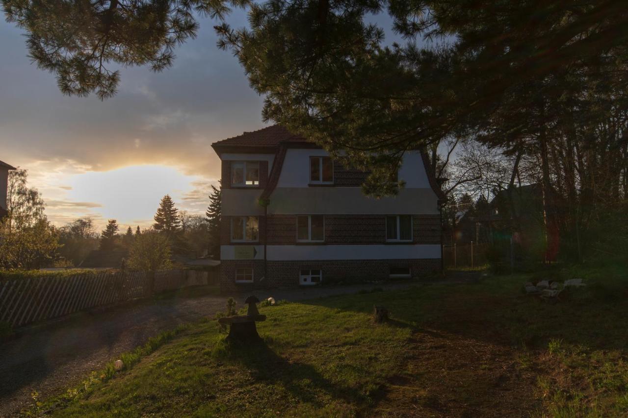 Ferienhaus Natur Pur Thale Exterior photo